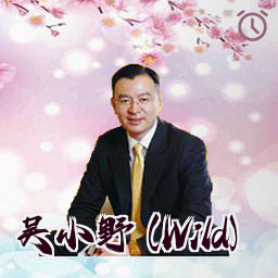 吴小野 (Wild)